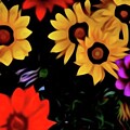 Fall Flowers