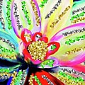 Christmas Flower
