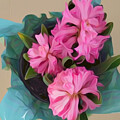 Healing Flowers