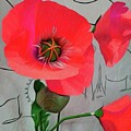 Red Poppies 